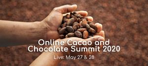 Cacao and Chocolate Summit 2020 Continues – Online, For Now