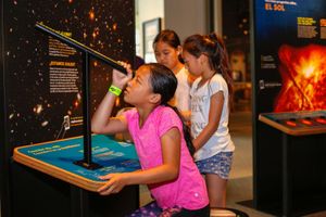 The Week in Cocoa and Chocolate - Aug 3-9, 2019