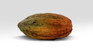 The Great Criollo Debate