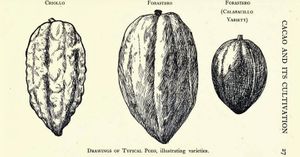 Reading List: Cocoa and Chocolate, Their History From Plantation to Consumer
