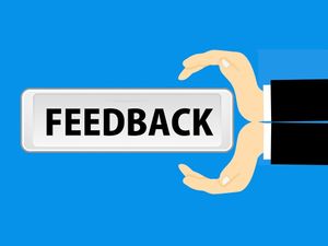 Chocolate Awards Competition Questionnaire