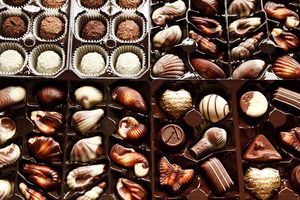 The environmental impact of chocolate production