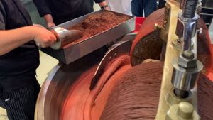 Learning to Make Chocolate, From Beans to Bars