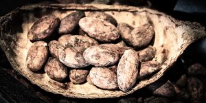 The Week in Cocoa and Chocolate - Aug 17-23 2019