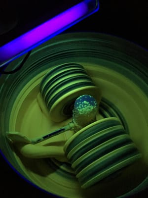 Fluorescent Chocolate