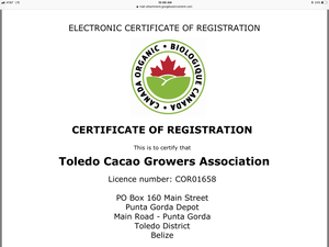 SOLD - FTrade/ORGANIC Belize Cacao Beans