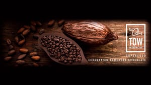 Ended - TOW SuperFood Chocolate #FromFarmerstoyourDoor