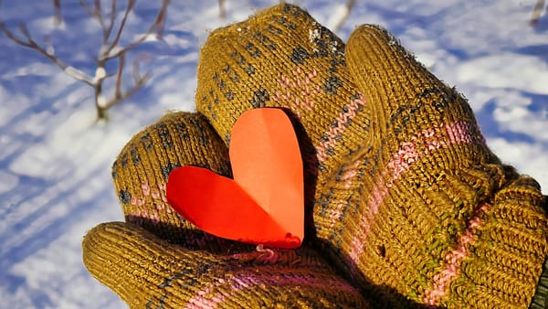 February 2026 Newsletter – Part 2