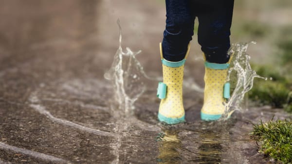 April 2026 Member Newsletter