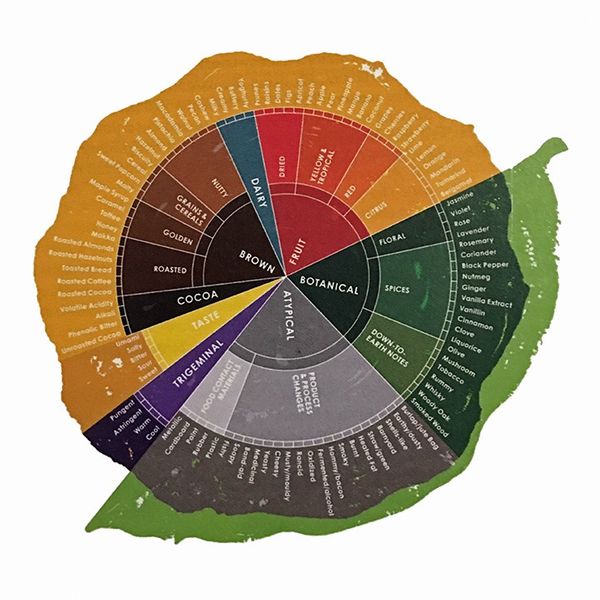 Hidden Persuaders in Cocoa and Chocolate