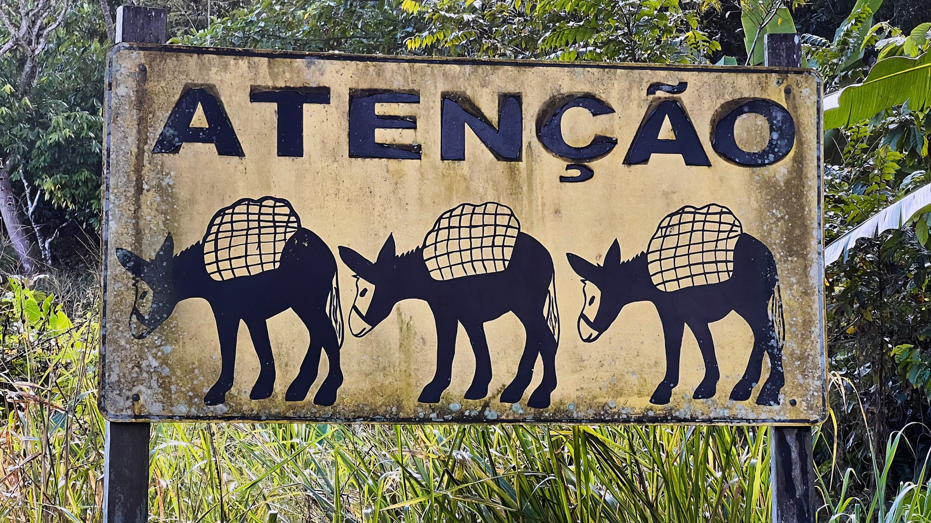 The Changing Landscape of Cocoa Sourcing: Part 3