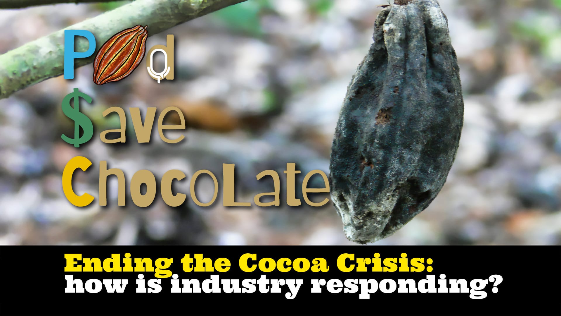 #PodSaveChocolate Archive – Episodes 101+