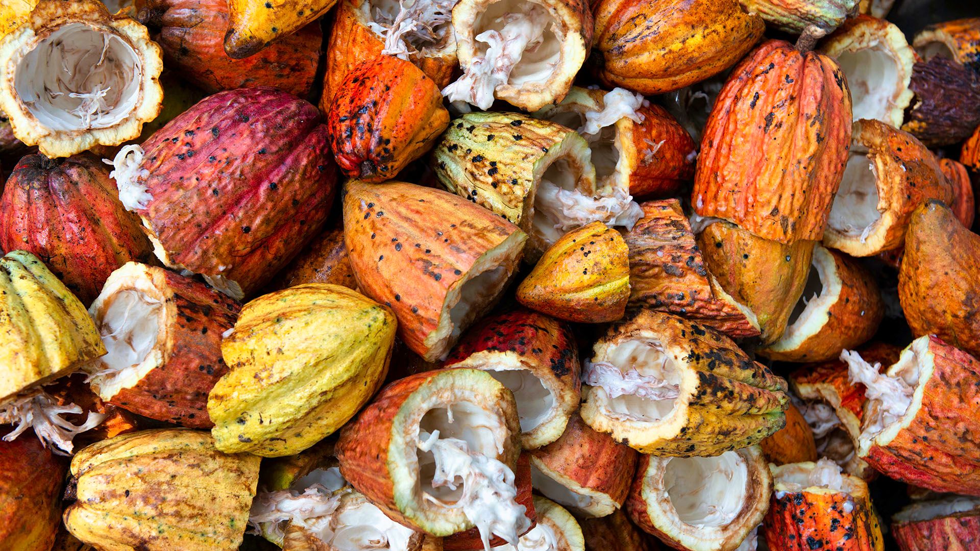 Oops! They’re At It Again: CR’s Love Affair With Lead | #PSC 157