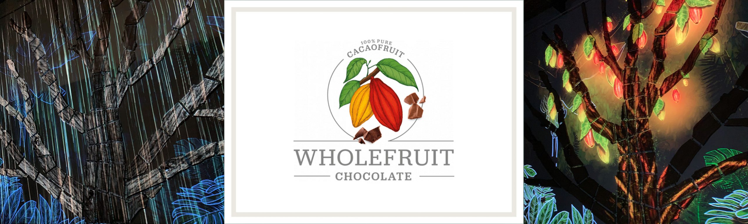 A Whole New Category of Chocolate – Wholefruit