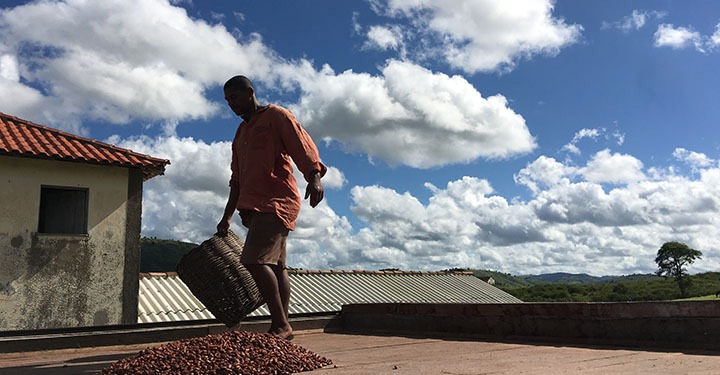 A Visit to Fazenda Sagarana, Bahia, Brasil