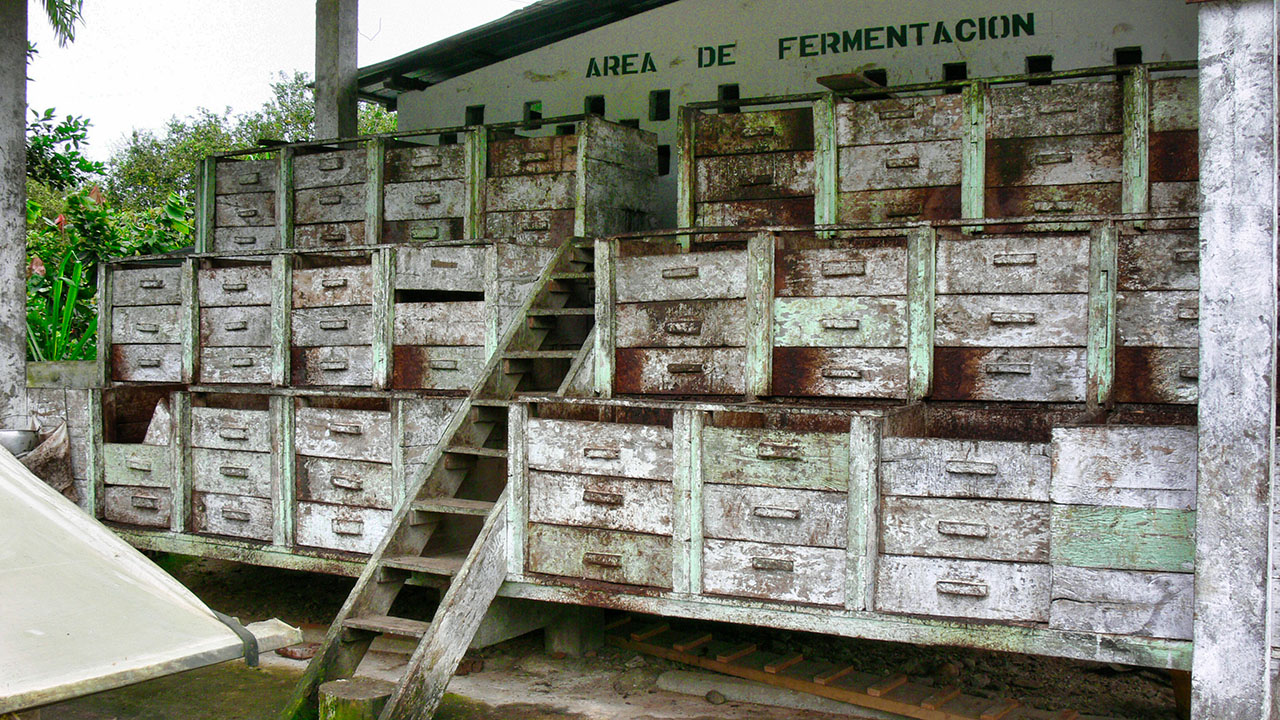 Fermentation cascade, near Naranjal, Ecuador